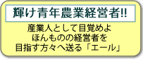 �_�ƐU������ �琬�Z���^�[�u���O�@�u�P���N�_�ƌo�c��!!�v